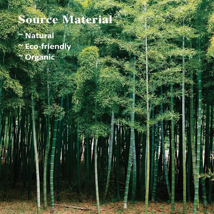 Biodegradable bamboo wipes 3