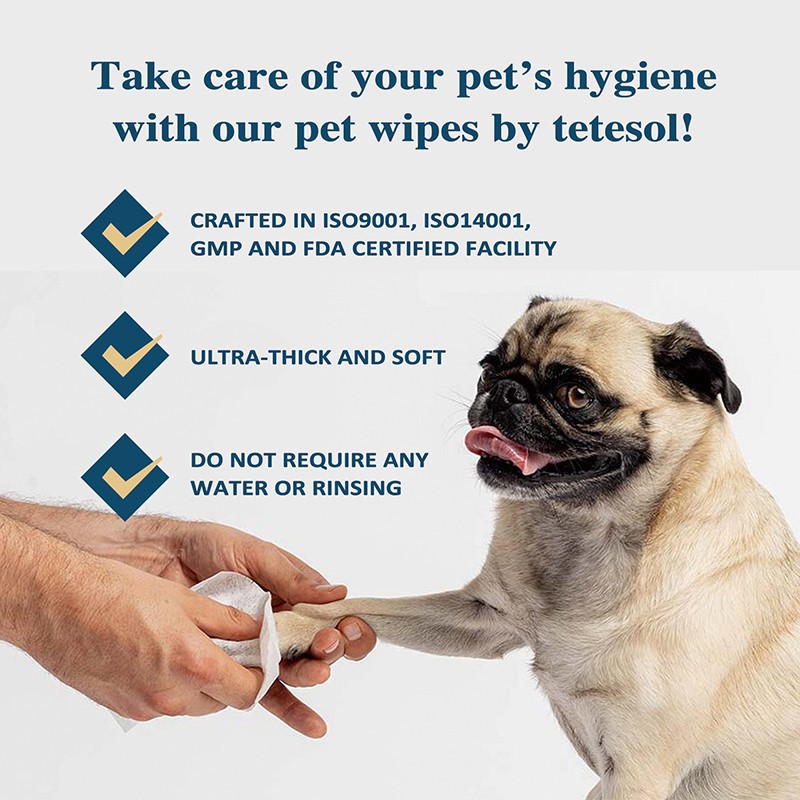 Individual Wrapped Wipes